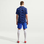 Maglia I Francia 2026/27 Versione Giocatore Maschile
